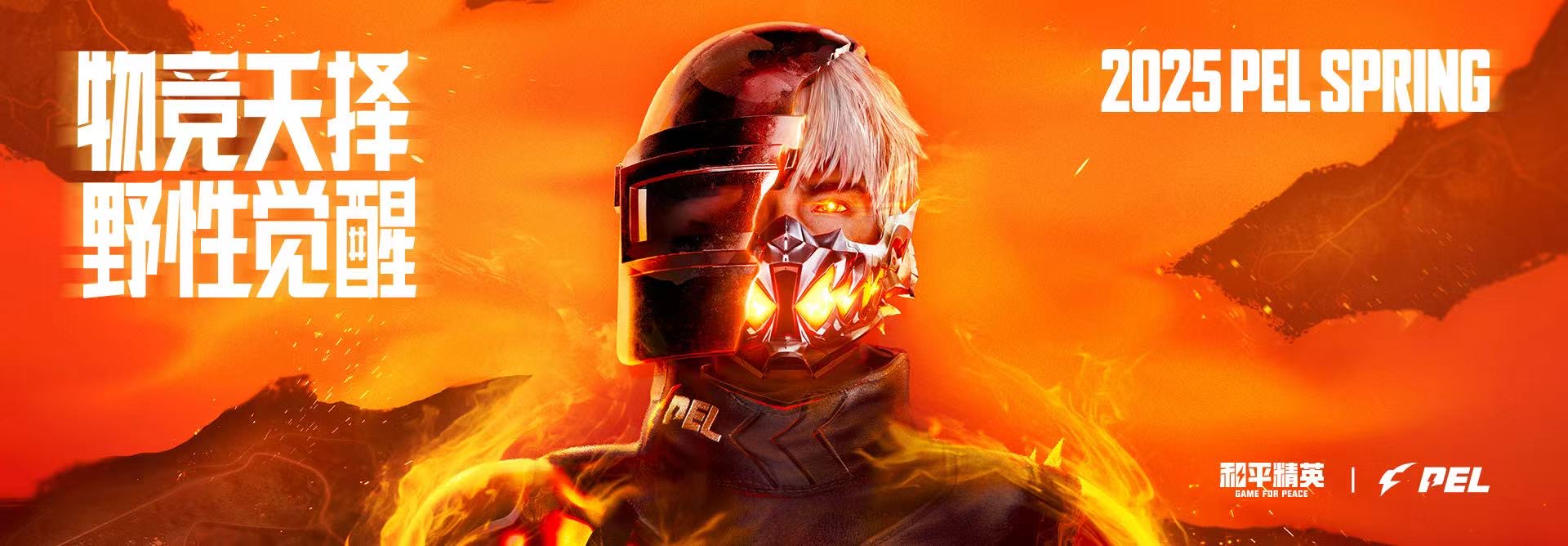 和平精英98k耀虎外挂